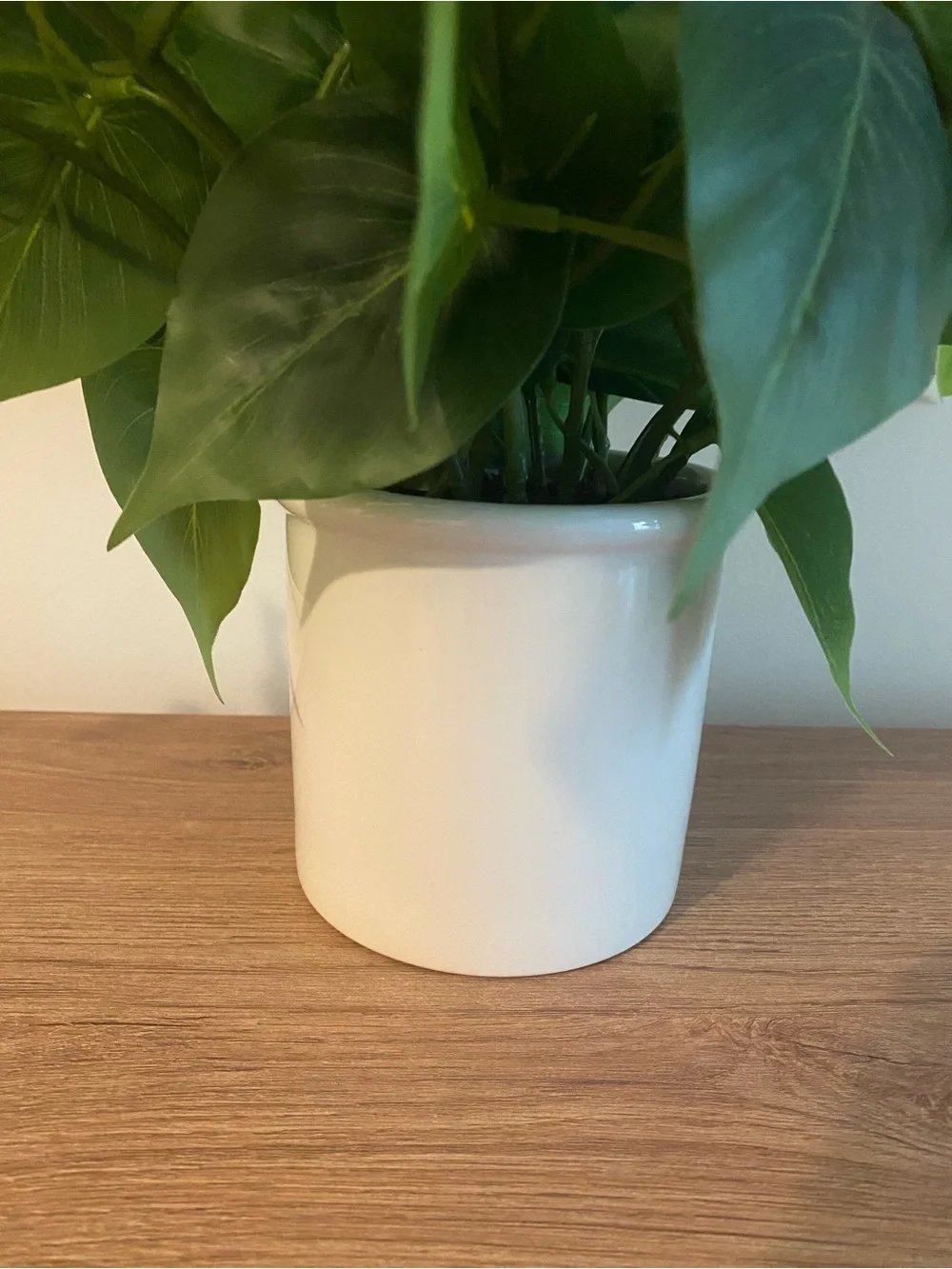 Artificial Pothos Plant